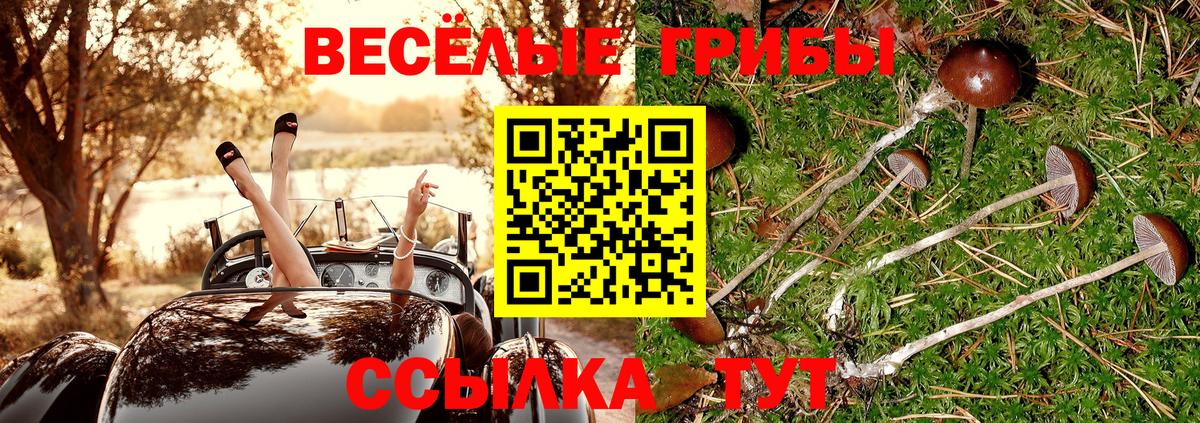 Галлюциногенные грибы мухоморы  Галлюциногенные грибы Magic Shrooms  Вход с VPN  Свободный 