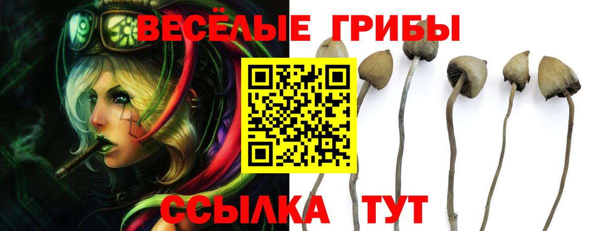 Галлюциногенные грибы Magic Shrooms Свободный